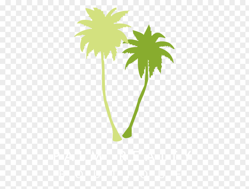 Palm Realty Boutique Real Estate Oil ArecaceaeCoconut Tree Photos Tad Thormodsgaard PNG