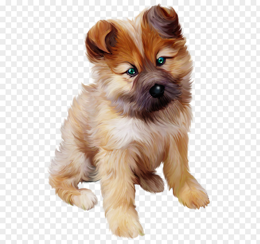 Puppy Photos Dog Cat Clip Art PNG