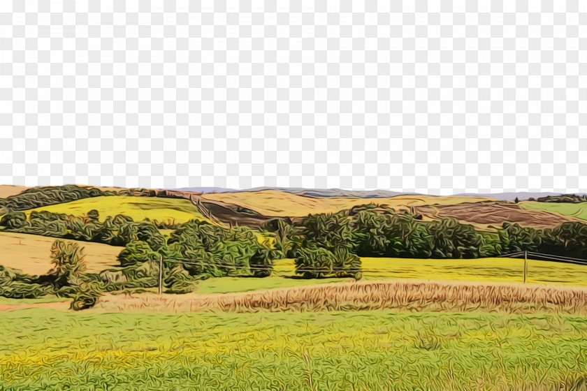 Rural Area Landscape Grasses Grassland Farm PNG