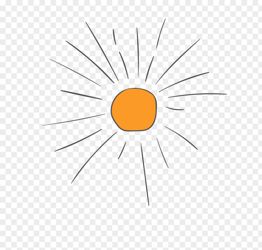 Sun Element Euclidean Vector Icon PNG
