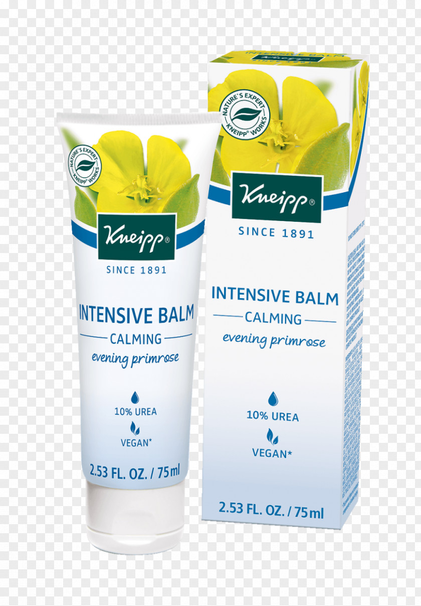 Avocado Oil Seed Cream Lotion Sunscreen Common Evening-primrose Kneipp Intensiv Balsam Nachtkerzenöl PNG