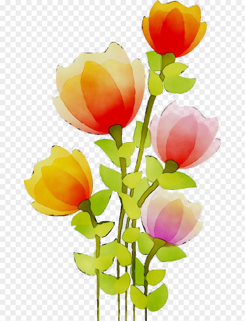 Garden Roses Floral Design Cut Flowers Tulip PNG