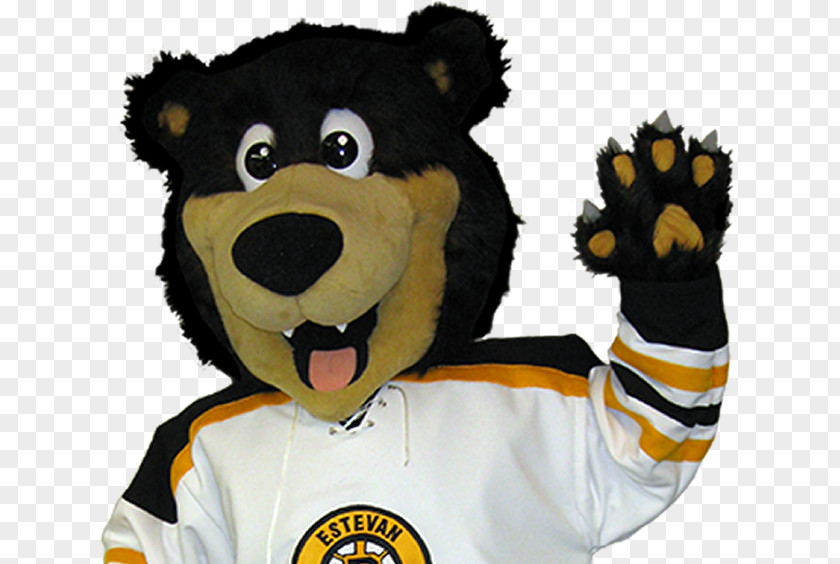 Hockey Mascot Boston Bruins National League Estevan Ice PNG