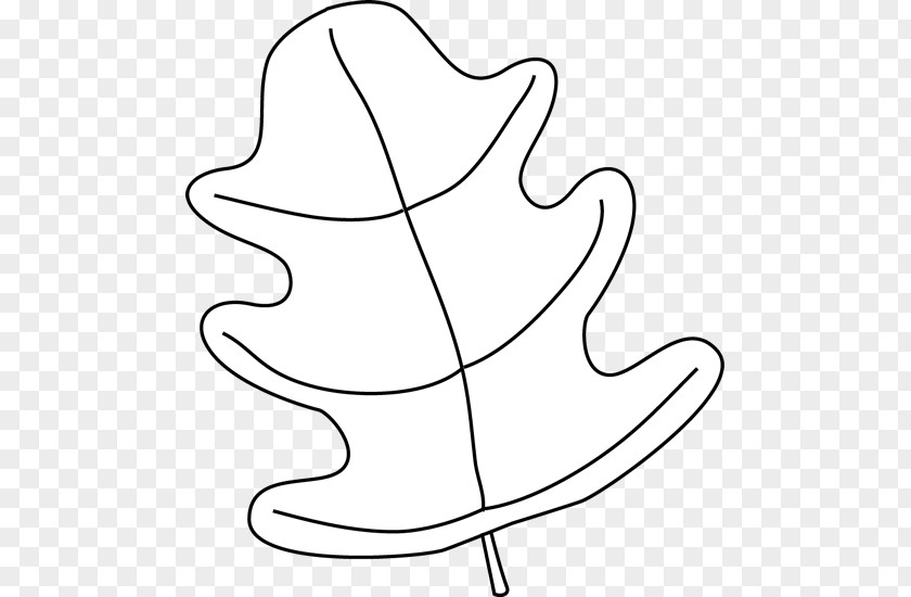 Leaf Images Black And White Line Art Drawing Clip PNG