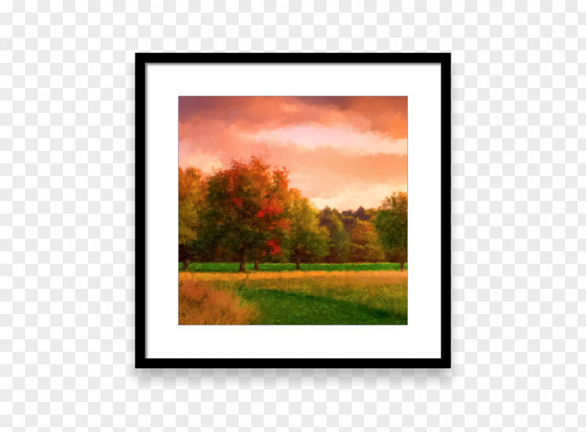 Painting Picture Frames Tree Rectangle PNG