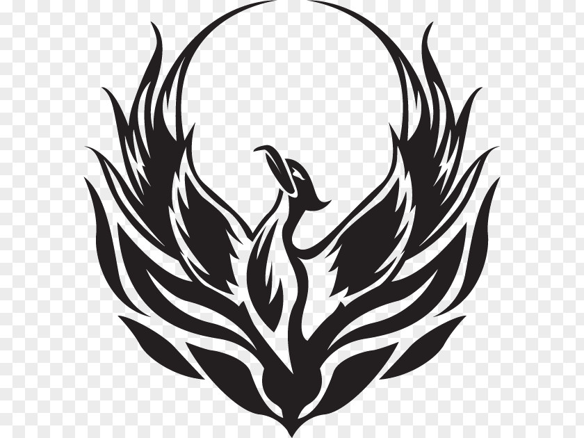 Phoenix Symbol Icon Clip Art Logo Drawing PNG