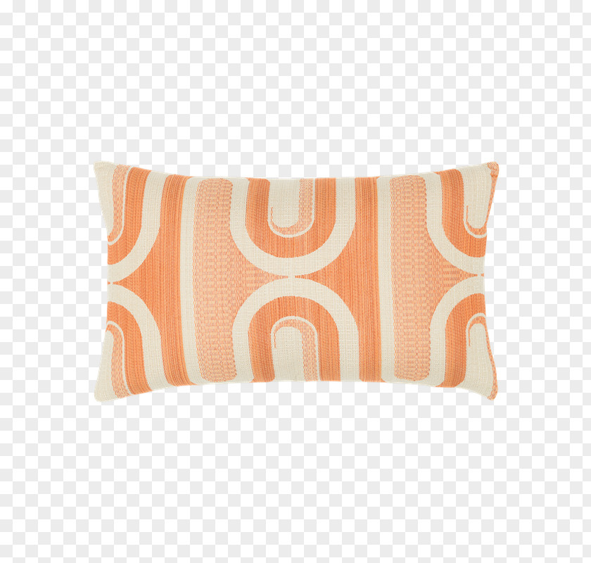 Pillow Cushion Throw Pillows Rectangle Aruba PNG