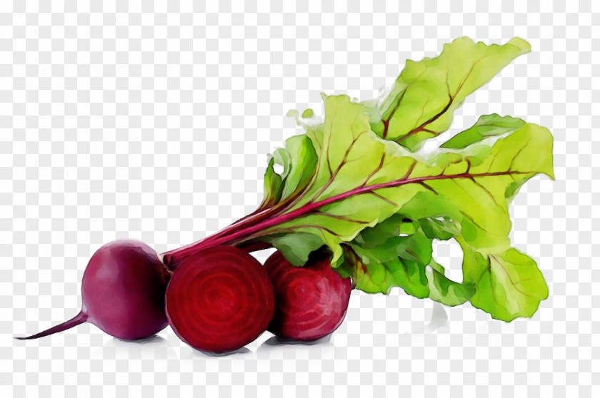 Root Vegetable Superfood Plant Leaf PNG