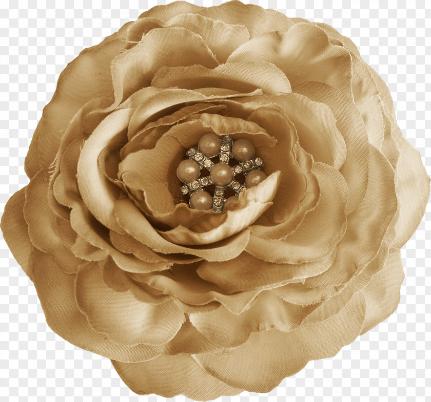 Rose Petal Clip Art PNG