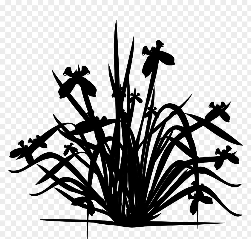 Twig Flowering Plant Stem Clip Art PNG
