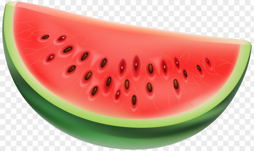 Watermelon Clip Art Vector Graphics Illustration PNG
