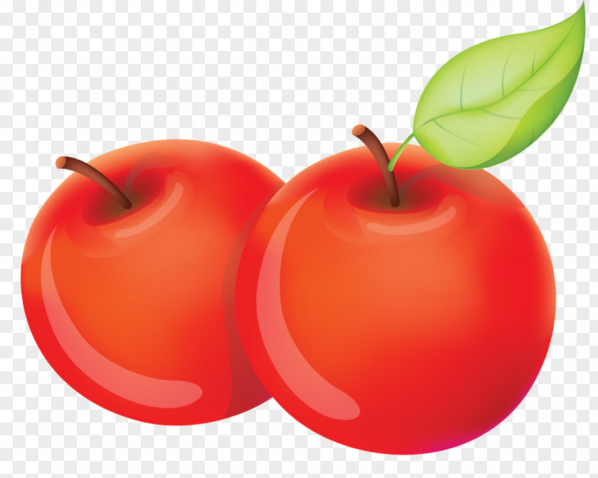 Apple Fruit Food IPhone X PNG
