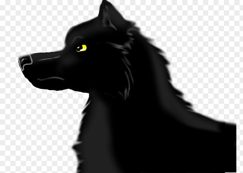Black Wolf Schipperke Drawing Arctic Canidae PNG