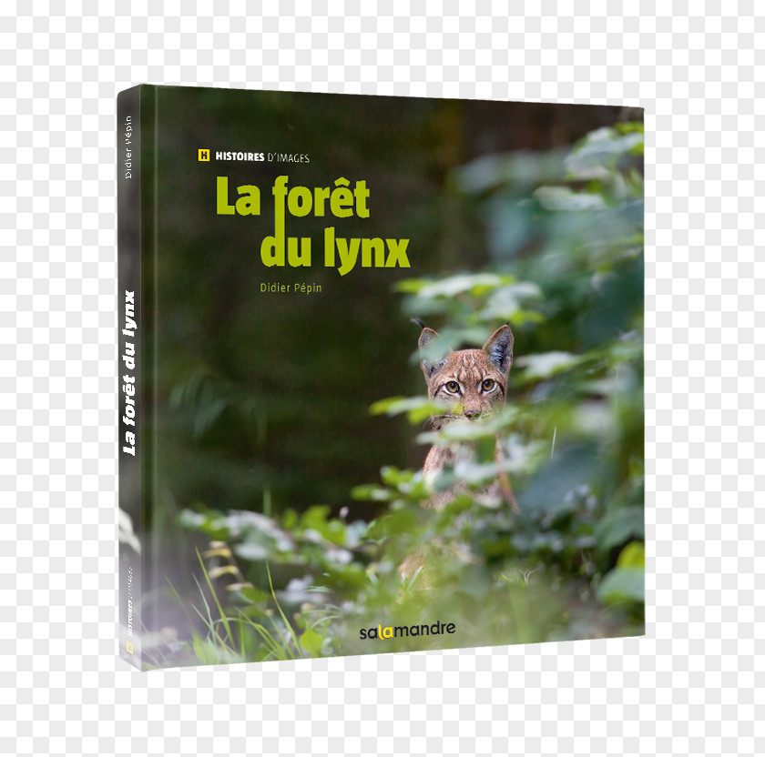 Foret La Forêt Du Lynx Gray Wolf Iberian Forest Book PNG