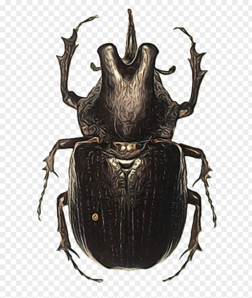 Japanese Rhinoceros Beetle Beetles Dung Stx Eu.tm Energy Nr Dl PNG