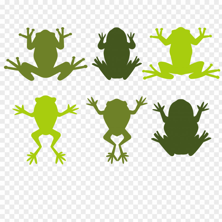 Frog Illustrator Tree Illustration PNG