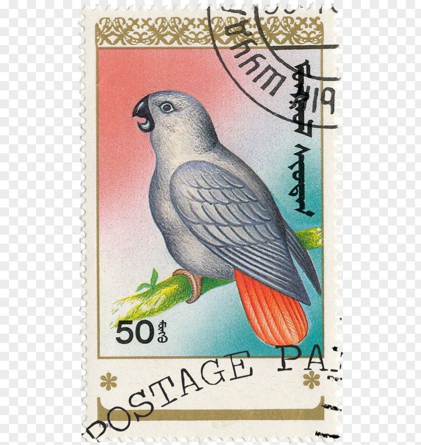 Lovely Parrot Stamps Germany Bird Postage Paper PNG