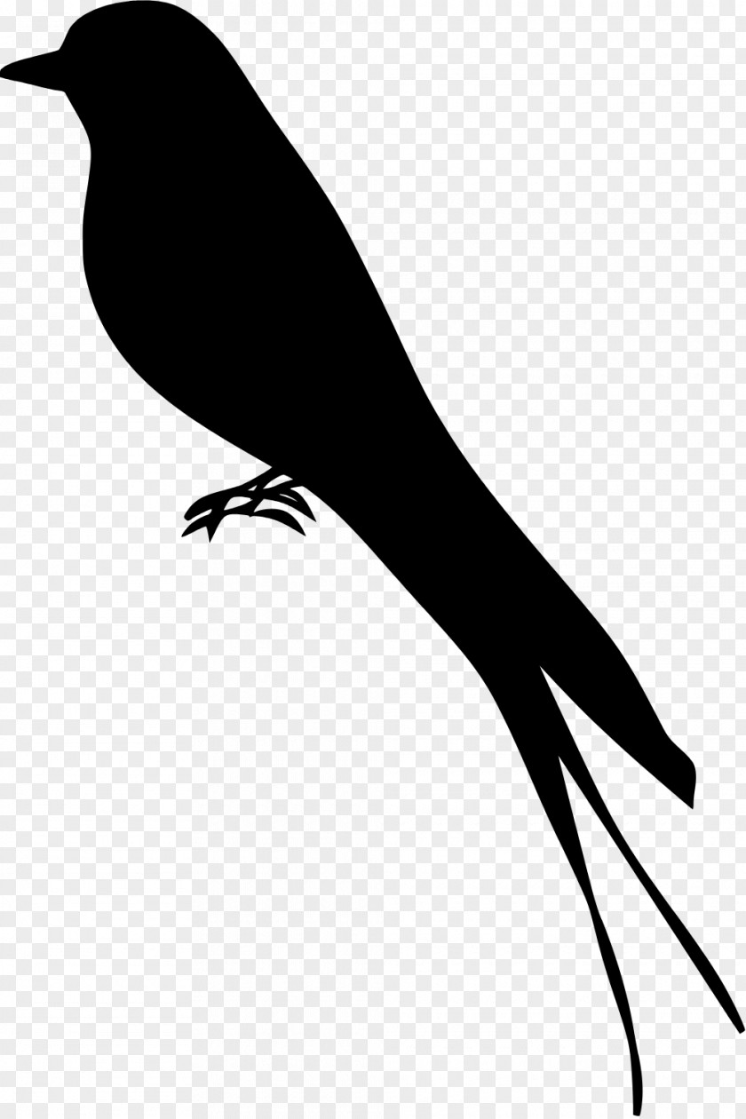 Wing New Caledonian Crow Mockingbird Silhouette PNG