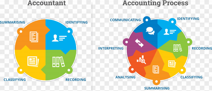 Business Accounting Information System Accountant Diagram PNG