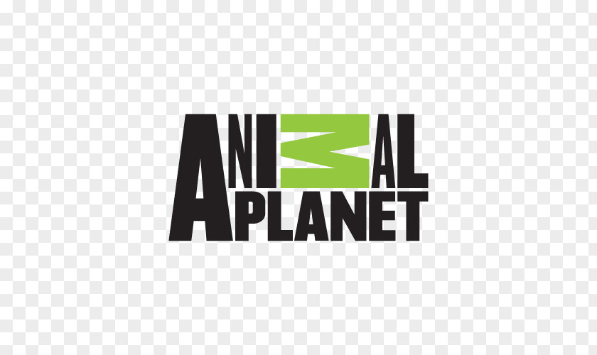 Cat Animal Planet Veterinarian Logo Film PNG
