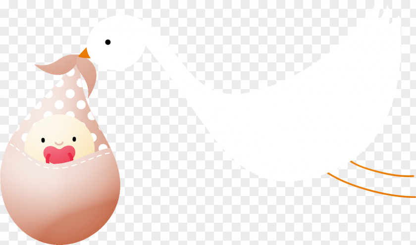 Chicken Beak Clip Art Water Bird Illustration PNG