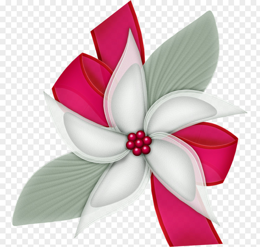 Flower Bow Petal Cut Flowers Pink M Flowering Plant PNG