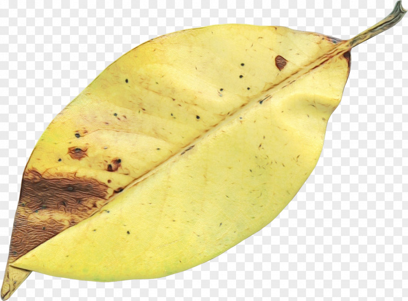 Food Tree Autumn PNG
