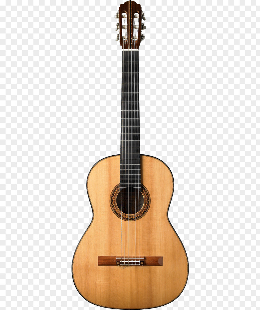 Guitar Acoustic Cutaway Acoustic-electric Classical PNG