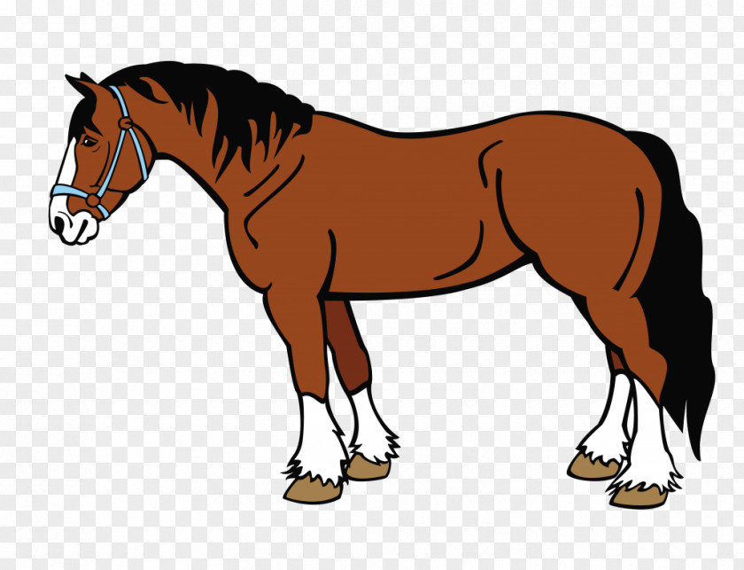 Horse Cattle Clip Art Royalty-free Livestock PNG