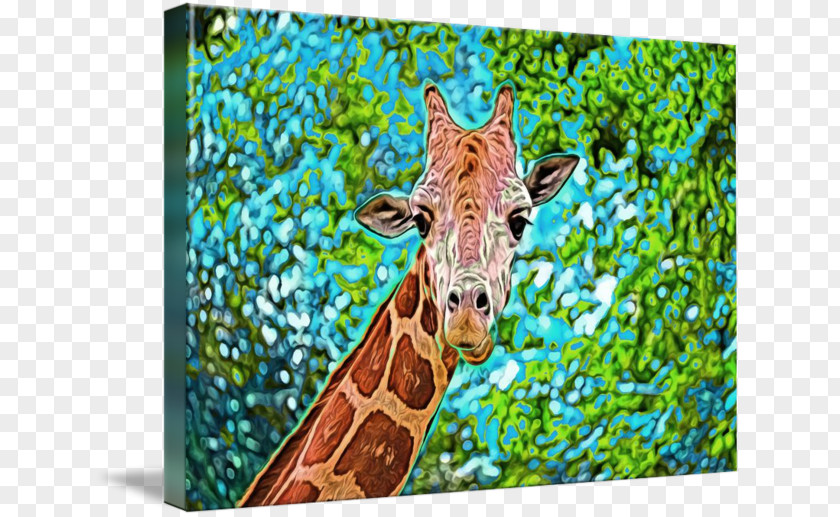 Giraffe Fauna Wildlife Teal Terrestrial Animal PNG