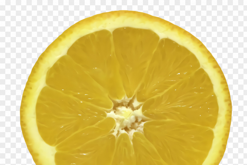 Grapefruit Orange PNG