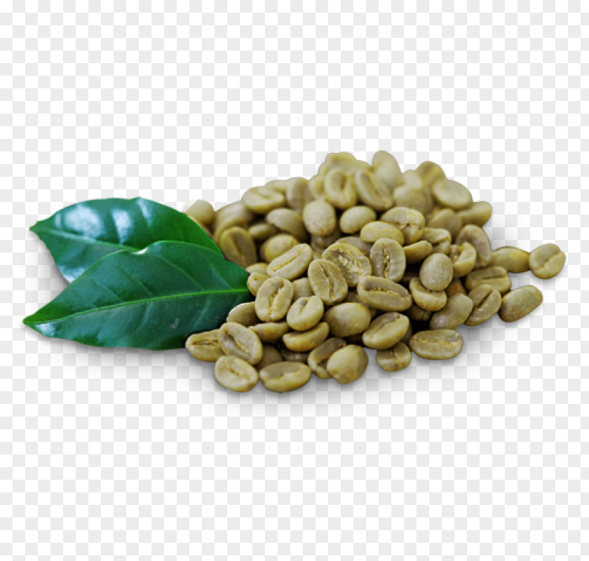 Green Coffee Extract Bean Tea PNG