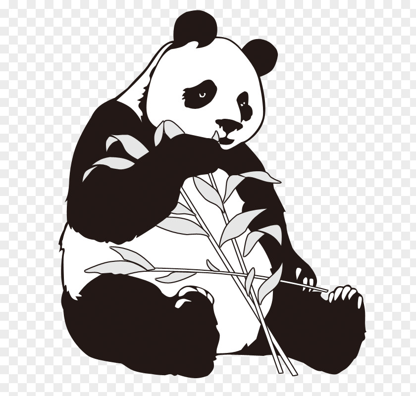 Panda Cartoon Giant Bamboo Clip Art PNG
