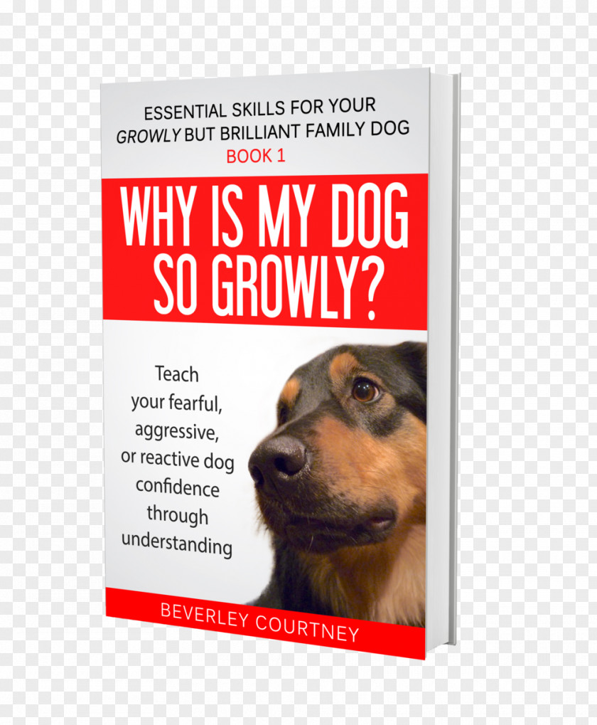 Puppy The Dog Guardian: Your Guide To A Happy, Well-Behaved Amazon.com Change For Growly Dog! Book 2 Action Steps Build Confidence In Fearful, Aggressive, Or Reactive PNG