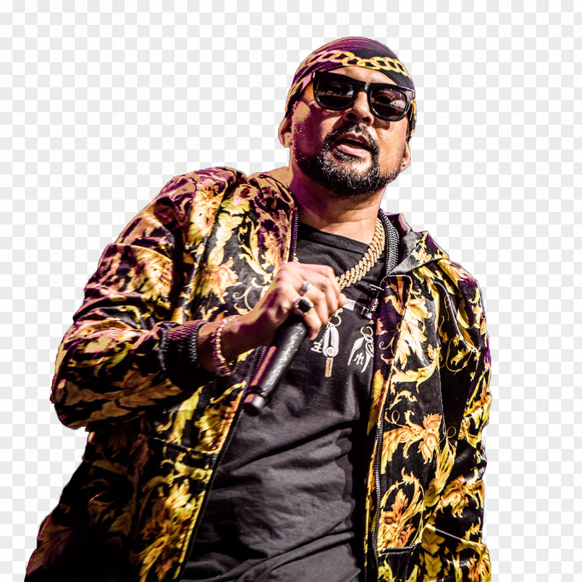 Sean Paul Musician Grammy Award For Best Reggae Album Rapper PNG for Rapper, others clipart PNG