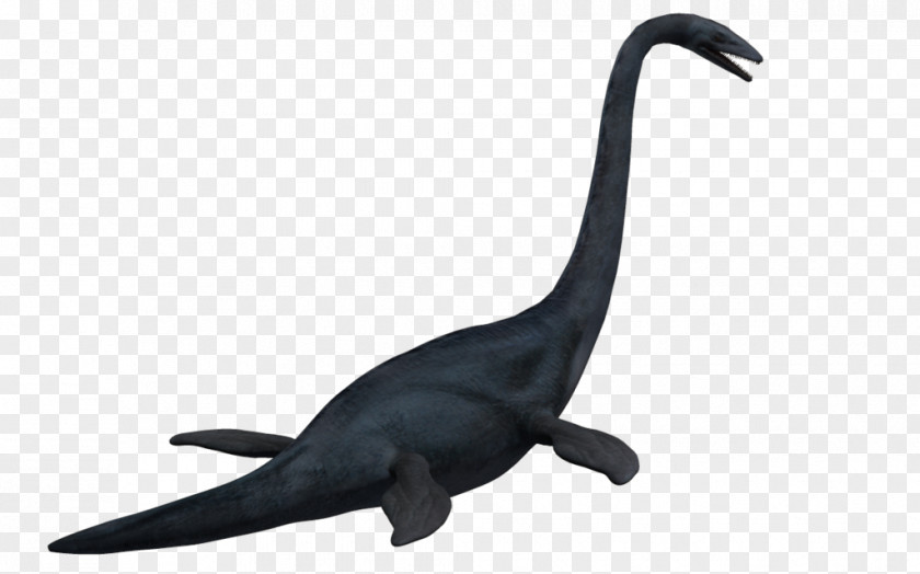 Wolverine Elasmosaurus Thalassomedon Dinosaur Mosasaurus Futabasaurus PNG