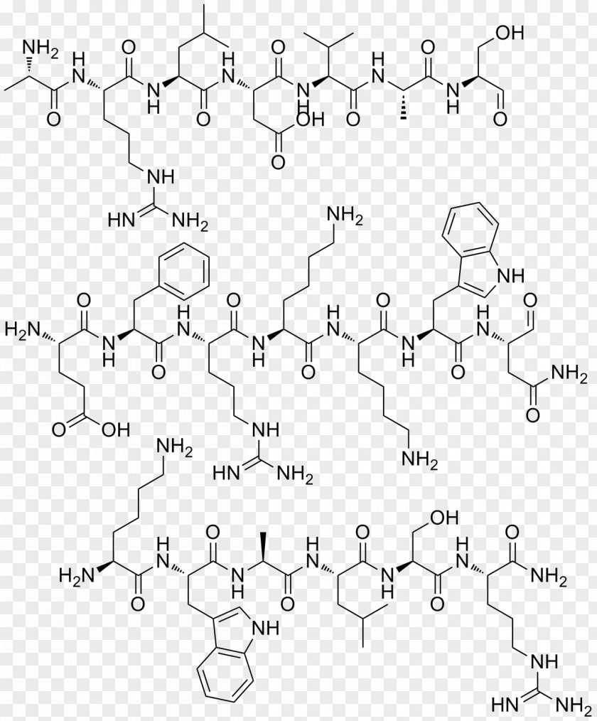 Adrenomedullin /m/02csf Peptide Car Point PNG