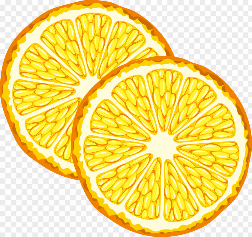 Lemon Vector Decoration Orange Juice Fruit PNG