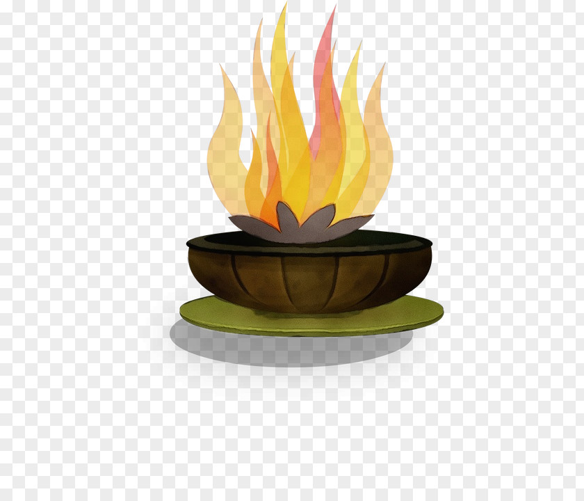 Plant Campfire Flame Fire PNG