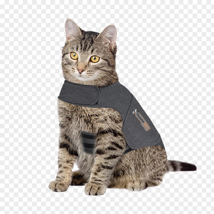 Cat Dog Veterinarian Pet Jacket PNG