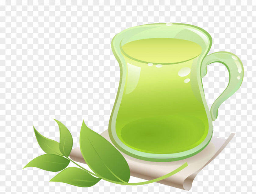 Fresh Green Tea Hibiscus Stock Photography Clip Art PNG