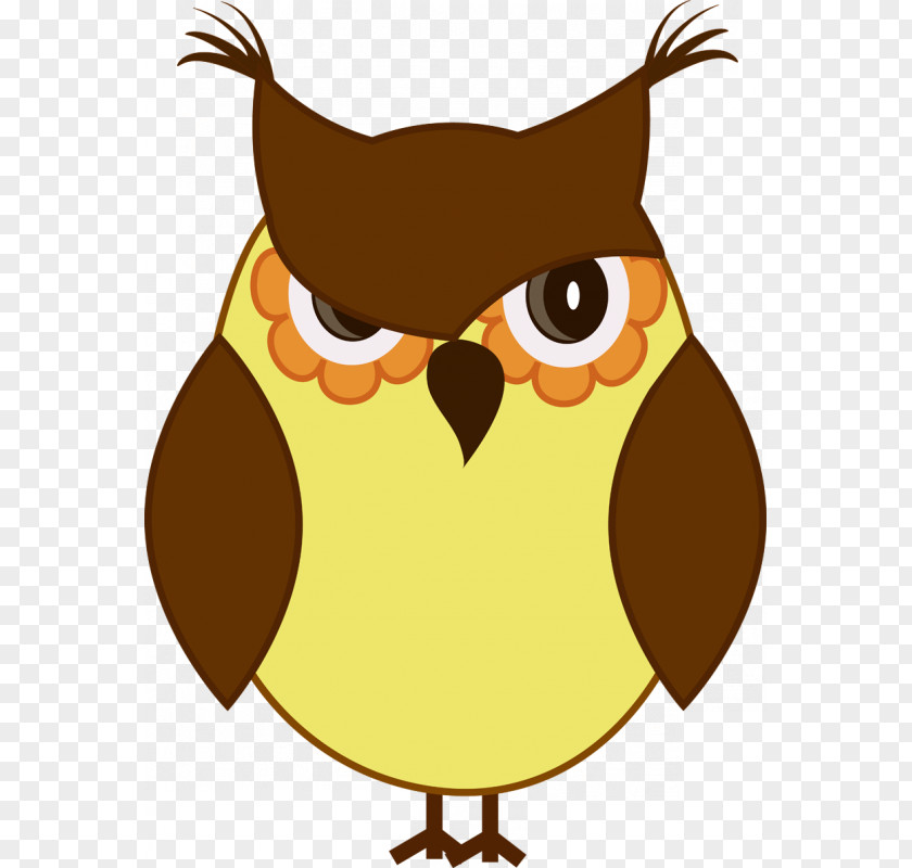 Owl Paper Sticker Painting Wallpaper PNG