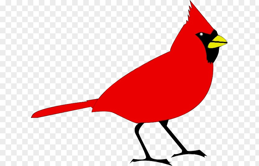Perching Bird Songbird Northern Cardinal Beak Clip Art PNG