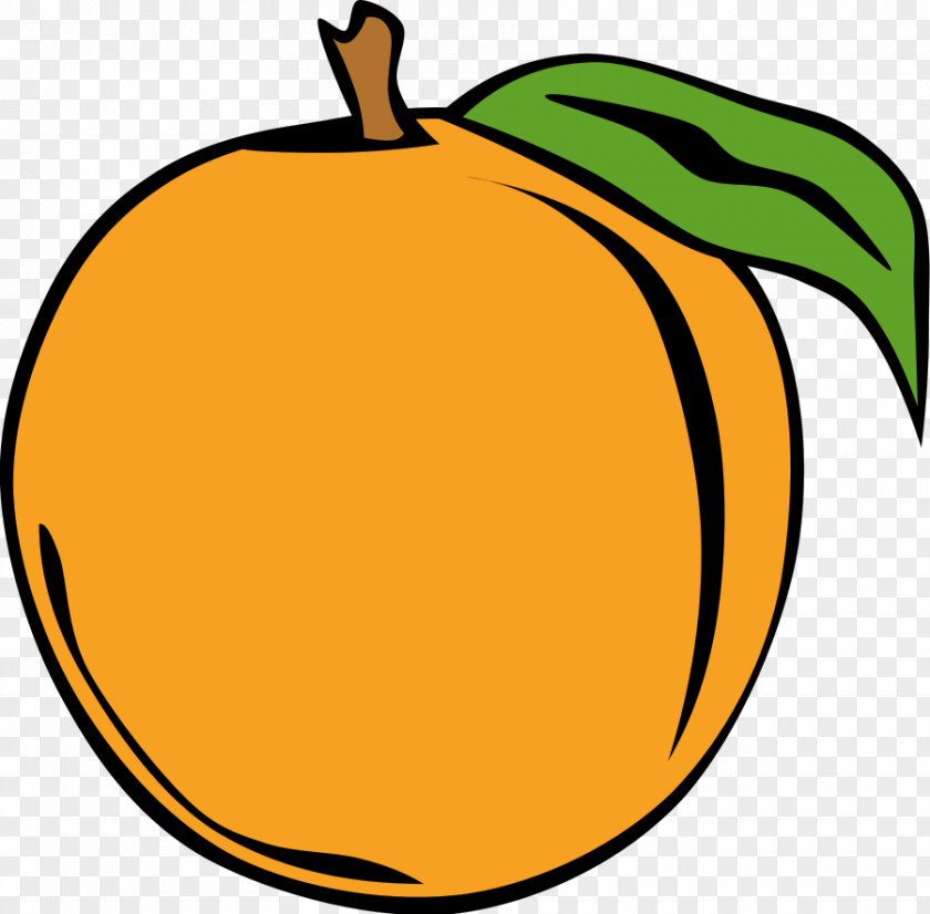 Transparent Fruit Cliparts Peach Free Content Clip Art PNG