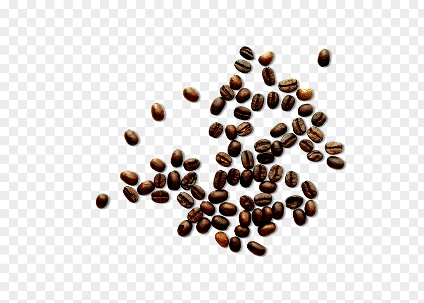 Black Beans White Coffee Cafe Bean PNG