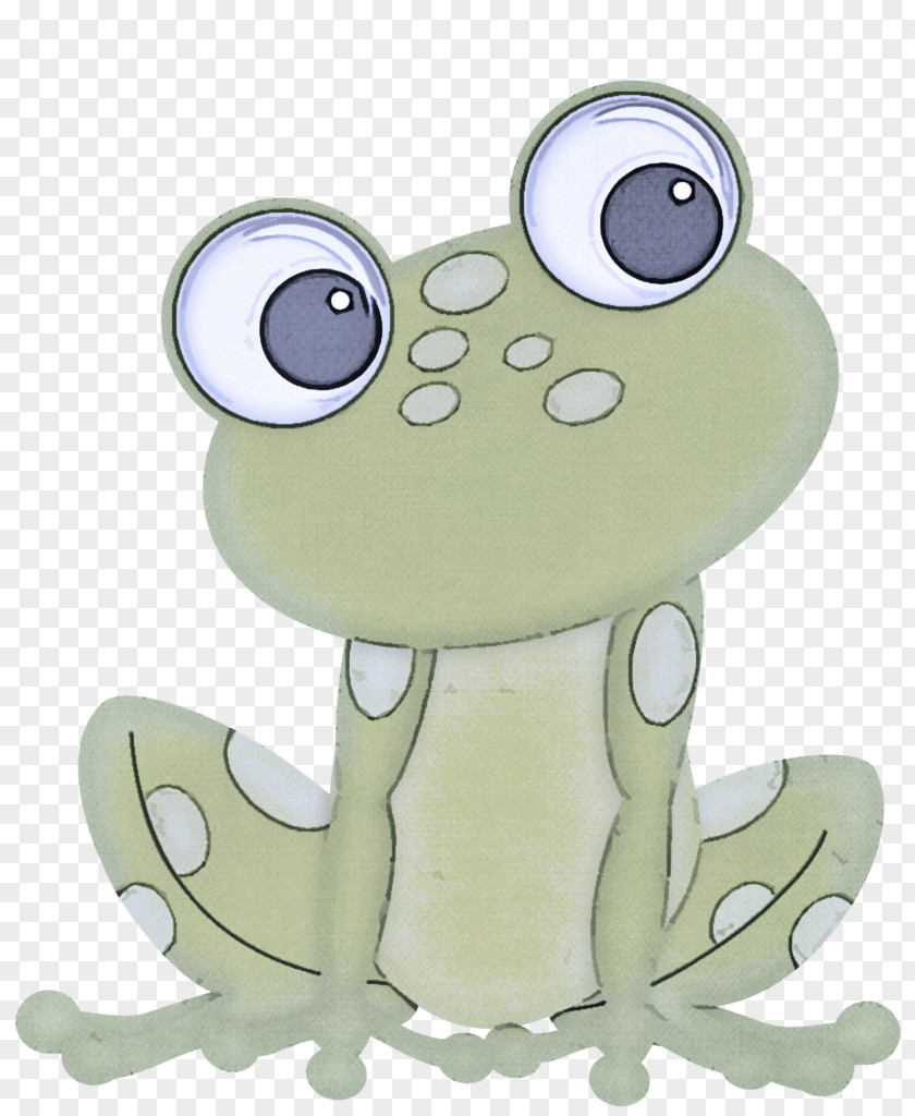 Frog Cartoon True Toad Tree PNG