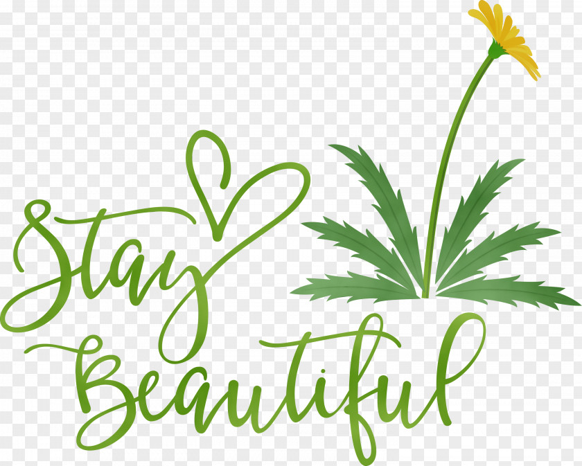 Leaf Plant Stem Flower Logo Herbal Medicine PNG