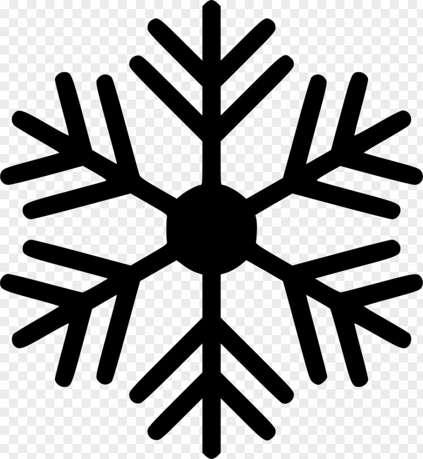Snowflake Vector Graphics Ice Stock Photography PNG