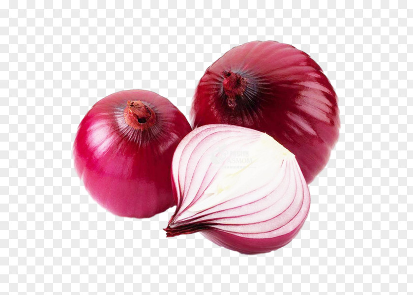 Vegetable Red Onion Food Potato White PNG