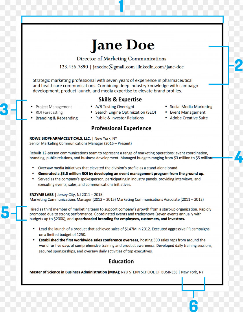 Word Resume Résumé Template Cover Letter Curriculum Vitae PNG